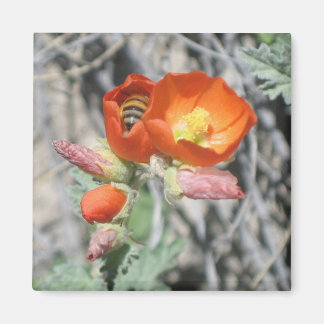 Mijn kleine honingbijen magneet