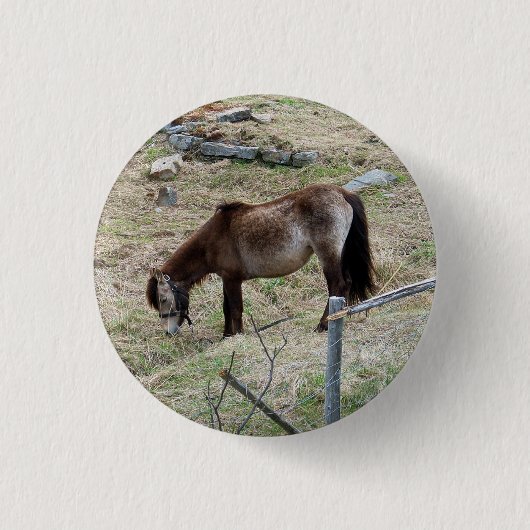 Mijn kleine Pony Button (Voorkant)