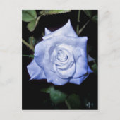 Mijn kleine prinses briefkaart (Voorkant)