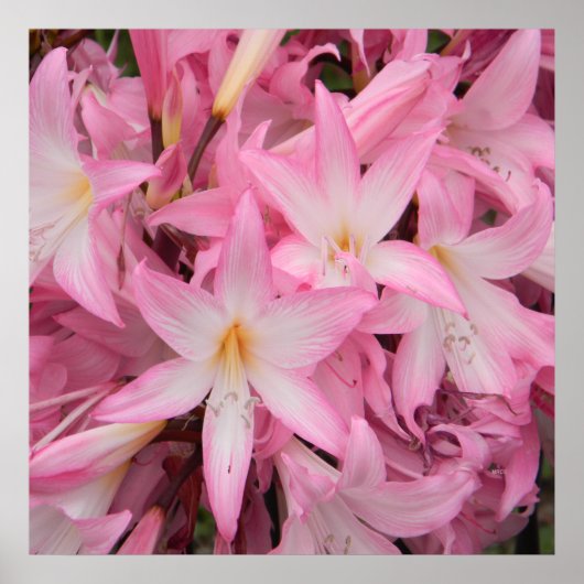 Mijn kleine vriend slaapt..... poster (Voorkant)