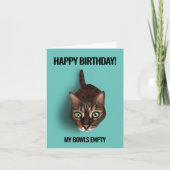 Mijn kom is leeg - Funny Cat Birthday Kaart (Voorkant)