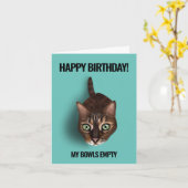 Mijn kom is leeg - Funny Cat Birthday Kaart (Gele Bloem)