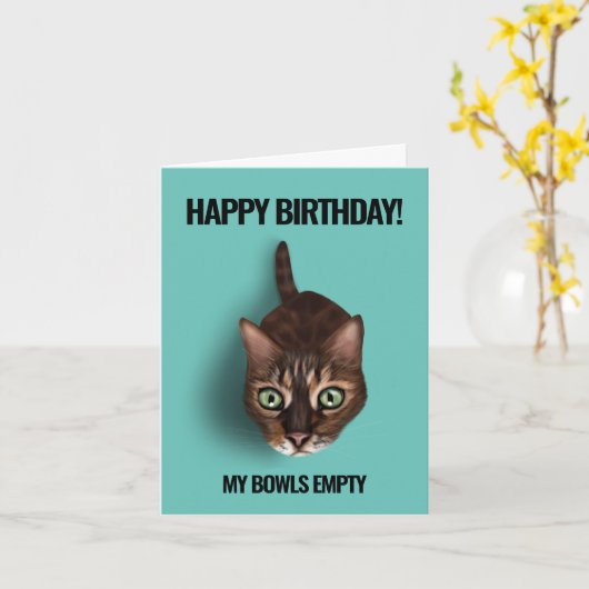 Mijn kom is leeg - Funny Cat Birthday Kaart (Gele Bloem)