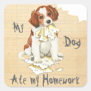 Mijn Kooiker Ate Mijn Homework Vierkante Sticker