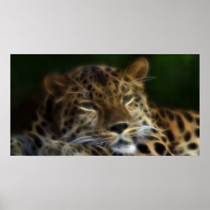 Mijn laatste dagen op aarde... Kunst Poster