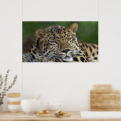 Mijn laatste dagen op aarde... poster (Keuken)