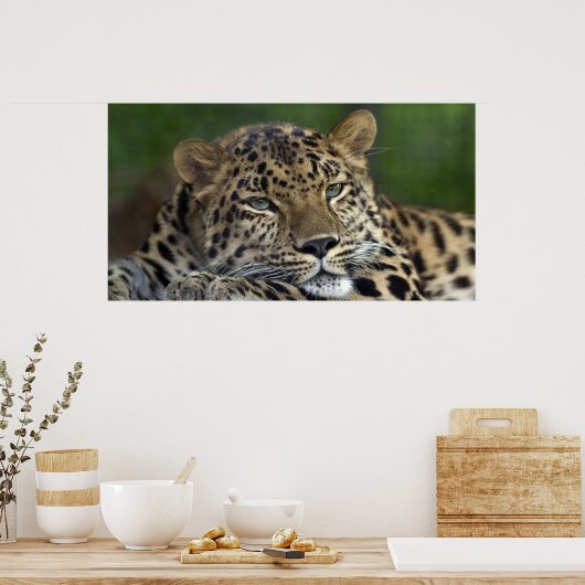 Mijn laatste dagen op aarde... poster (Keuken)