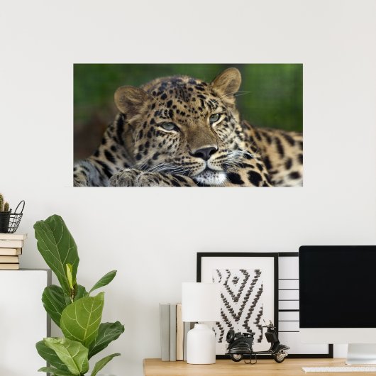 Mijn laatste dagen op aarde... poster (Thuiskantoor)