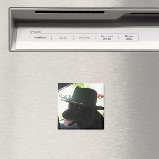 Mijn labrador magneet (Insitu (Vaatwasser))