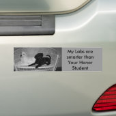 Mijn labs zijn slimmere bumpersticker (Op auto)