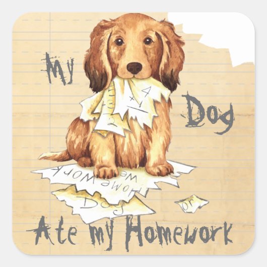 Mijn lange Dachshund Ate mijn thuiswerk Vierkante Sticker (Voorkant)