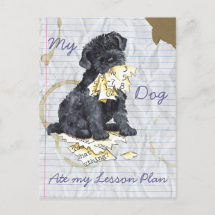 Mijn lerarenplan briefkaart