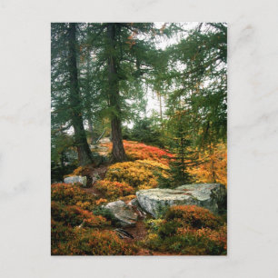 MIJN LEVEN IS NIET DEZE VERTICALE UUR BRIEFKAART