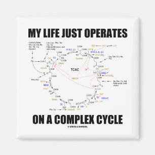 Mijn leven werkt alleen op een complexe cyclus (Kr Magneet