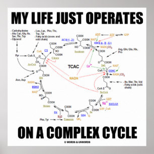 Mijn leven werkt alleen op een complexe cyclus (Kr Poster