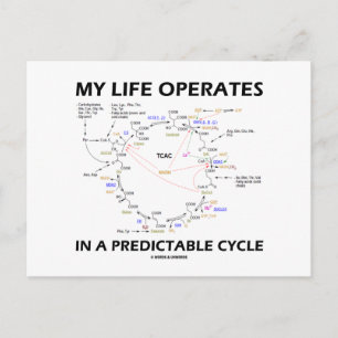 Mijn leven werkt in een voorspelbare cyclus (Krebs Briefkaart