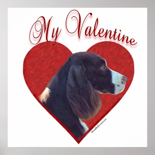Mijn Lever Engelse Springer Spaniel Valentijn Poster (Voorkant)
