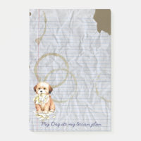 Mijn Lhasa Apso heeft mijn lessen van het plan van