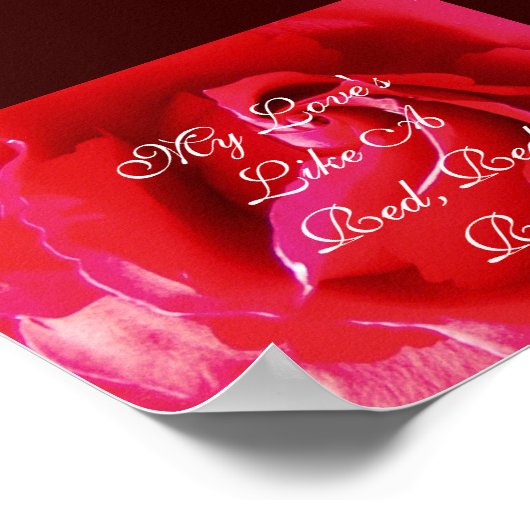 Mijn liefde is als een Rode Rood Rose. Poster (Hoek)