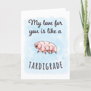 Mijn liefde is als tardigrade kaart