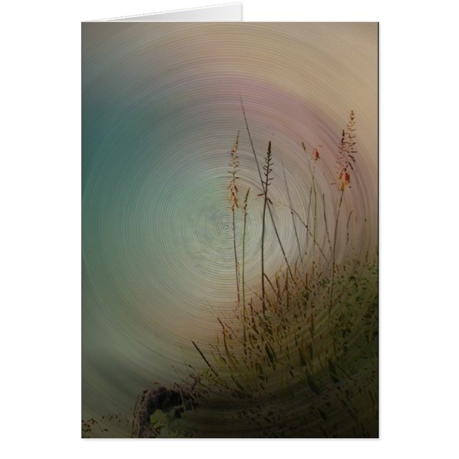 Mijn liefde voor jou (Voorkant)