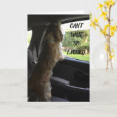 MIJN LIEFJE ***HEEFT EEN GROTE DAG** KAART (Gele Bloem)