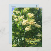 Mijn liefste Briefkaart (Voorkant / Achterkant)