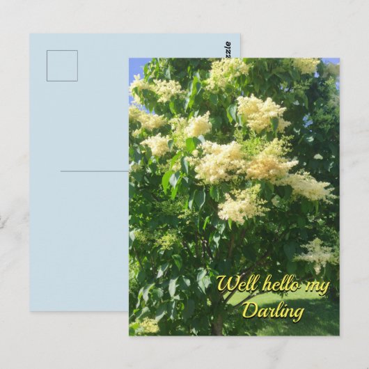 Mijn liefste Briefkaart (Voorkant / Achterkant)