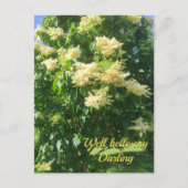 Mijn liefste Briefkaart (Voorkant)