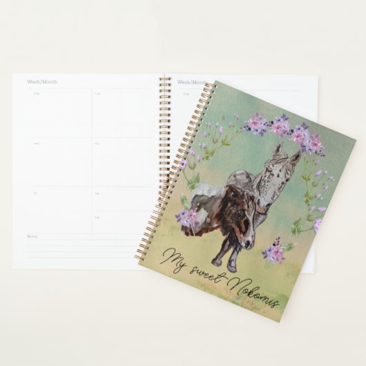 mijn lieve Nokomis Planner (Display)