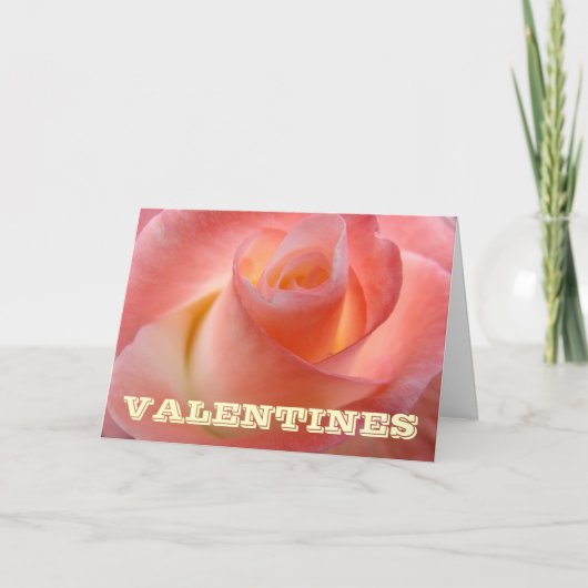 Mijn lieve Valentijn! Kaarten Roze Roos Bloem (Voorkant)