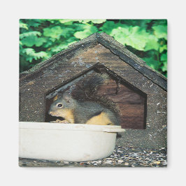 Mijn Lil' vriend..... Magneet