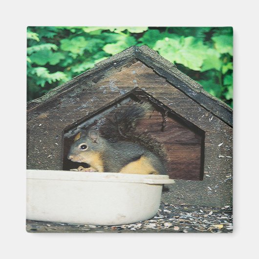 Mijn Lil' vriend..... Magneet (Voorkant)