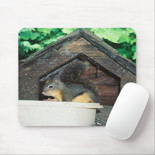 Mijn Lil' vriend..... Muismat