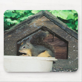 Mijn Lil' vriend..... Muismat