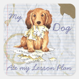 Mijn Longhaire Dachshund Ate mijn Lesson Plan Vierkante Sticker