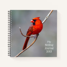 Mijn maatboekje voor de ruggengraat van mijn tas