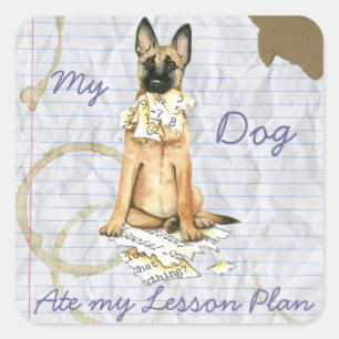 Mijn Malinois Ate Mijn Lesson Plan Vierkante Sticker
