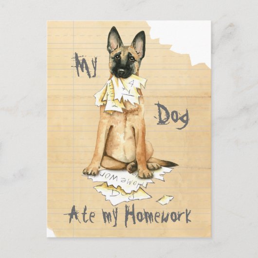 Mijn Malinois Ate Mijn thuiswerk Briefkaart (Voorkant)