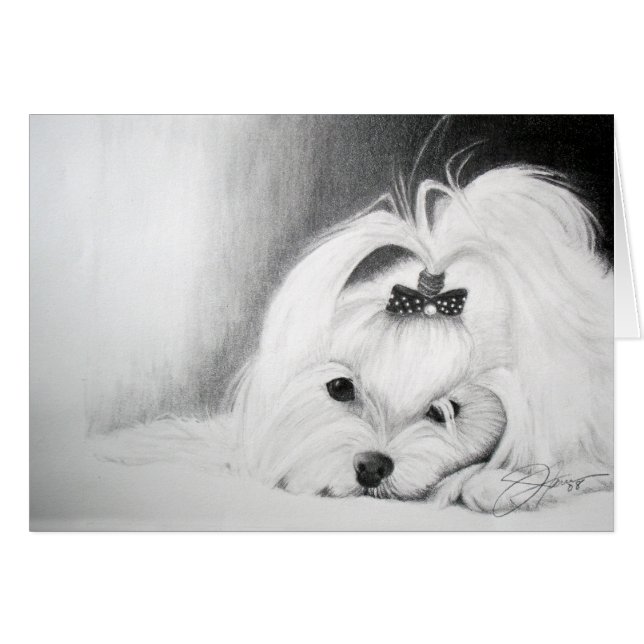 Mijn Maltees (Voorkant Horizontaal)