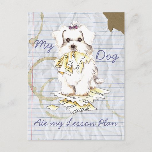 Mijn Maltees Ate Mijn Lesson Plan Briefkaart (Voorkant)