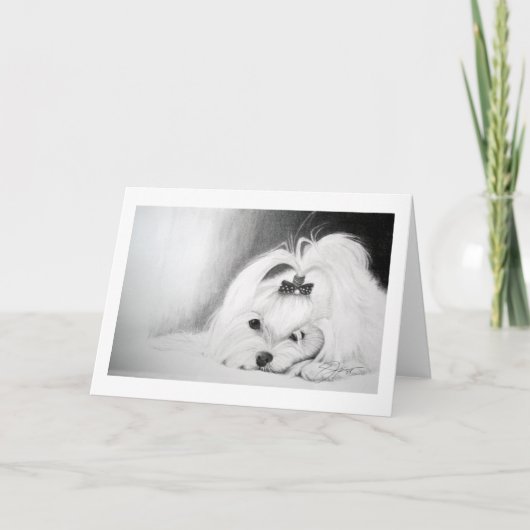 Mijn Maltees Kaart (Voorkant)