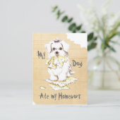 Mijn Maltese Ate my Homework Briefkaart (Staand voorkant)