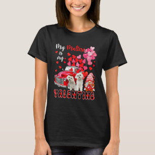 Mijn Maltezer is mijn Valentijn Twee honden met ka T-shirt