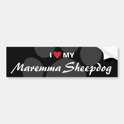 Mijn Maremma Sheepdog Bumpersticker (Voorkant)