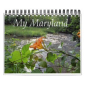 Mijn Maryland Kalender (Hoes)