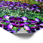 Mijn medicijnwiel... poster (Hoek)