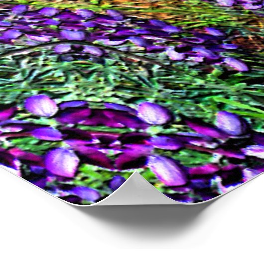 Mijn medicijnwiel... poster (Hoek)