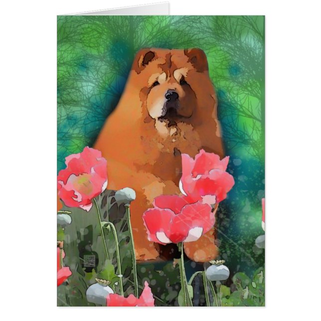 Mijn meisje "Sassy the Beauhow" (Voorkant)