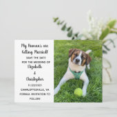 Mijn mens wordt een gehuwde foto van de hond save the date (Staand voorkant)